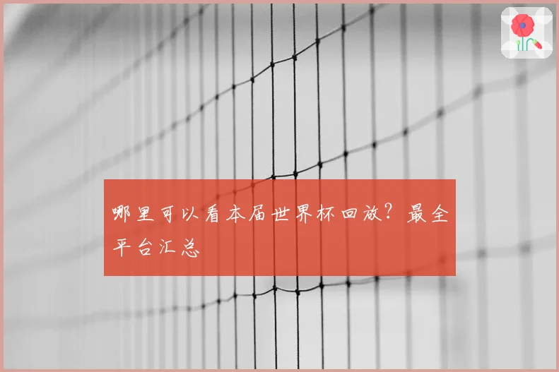 哪里可以看本届世界杯回放？最全平台汇总